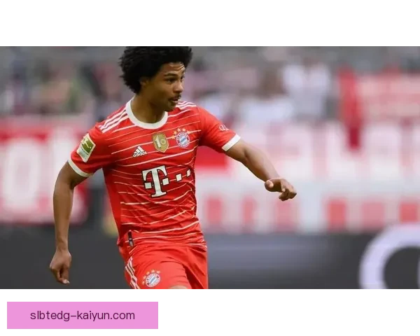 格纳布里进攻体系适配性分析：战术角色与状态表现作用持续提升